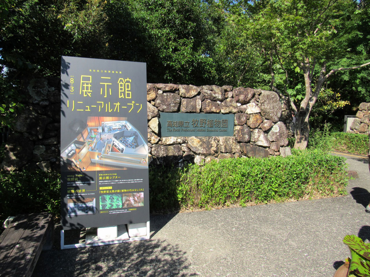 2019会員親睦バスツアー　牧野植物園　児島青色申告会